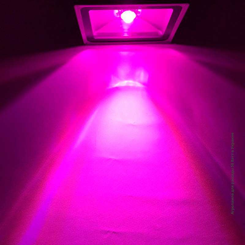 Ультрафиолетовая лампа для выращивания марихуаны как приготовить кашу с конопли