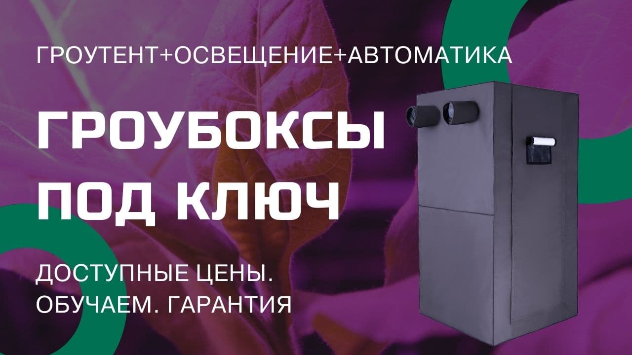 Комплект гроубокс Джин