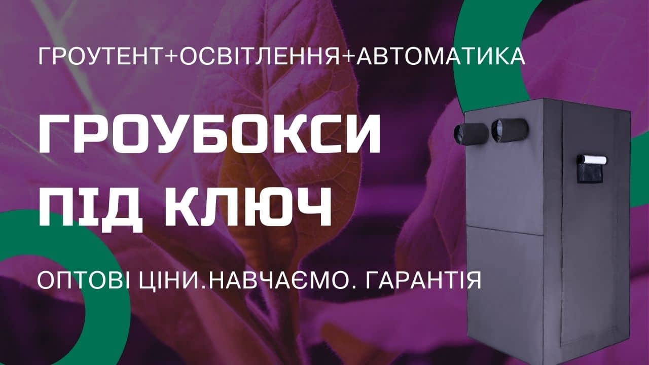 Комплекти гроубоксів Джин