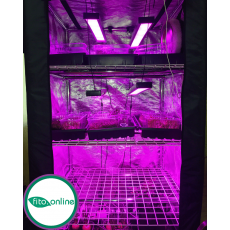 Освещение рассады светодиодами в гроубоксе