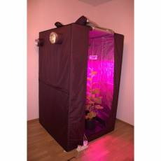Комплект growbox Джин 100*100*200 с лампой Гагарин-2 над растениями