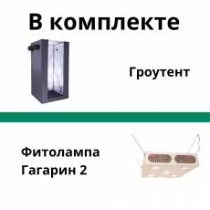 Комплект growbox Джин 80*80*180 с лед лампой Гагарин-2 над растениями