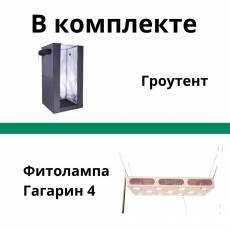 Автоматический гроубокс Джин 120*120*200 с фитосветильником Гагарин-4 над растениями