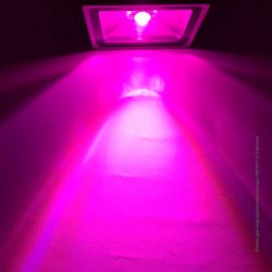 Фитолампа для рассады 100 Ватт фитосвет