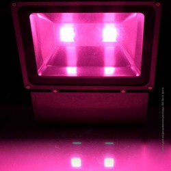 Фитолампа для рассады 100 Ватт в интернет-магазине