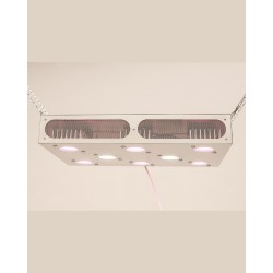 Гагарин 3 светодиодные светильники для теплиц