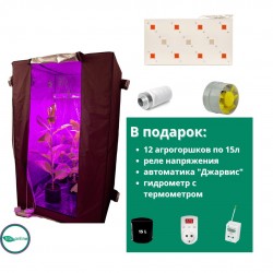 Гроубокс под ключ Джин 140*140*200 + Гагарин-4