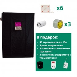 Гроубокс Джин  2900*1400*2000