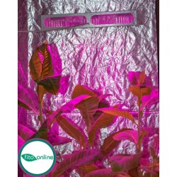 Гагарин 3 - светильник для теплиц