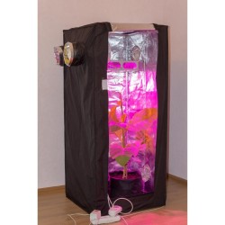 мини гроубокс джин 60*60*160 открыт