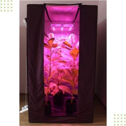Комплект growbox Джин 140*100*200 с лампой Гагарин-3