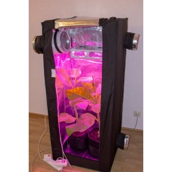 Гроубокс в сборе Джин 80*80*180 с ЛЭД лампой Гагарин-2 вид внурти