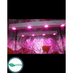 Линейный фитосветильник LED Союз 2 свет