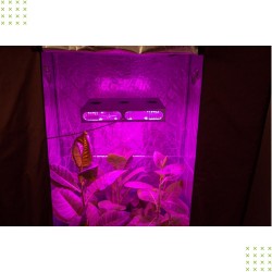 Автоматический гроубокс Джин140*100*200 с лампой Гагарин-4