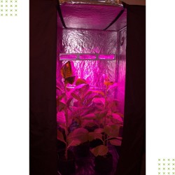 Гроубокс для вырщивания