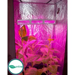 Гагарин 4 светильник для Теплицы