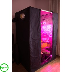 Гроубокс Джин  2900*1400*2000