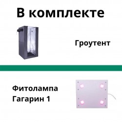 Гроубокс в сборе Джин 80*80*180 с лампой Гагарин 2 вид внутри