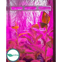 Гагарин 4 Светодиодный Светильник для Теплицы