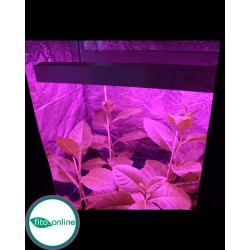 Союз 2 Led светильник для теплиц