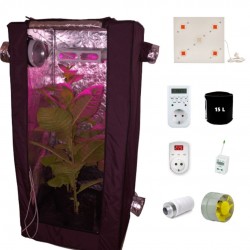 Гоубокс в сборе Джин 80*80*180 с лампой Гагарин 2