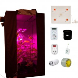 Гроубокс под ключ Джин 100*100*200 с Гагарин-2