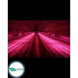 Союз 2 Led светильник для теплиц