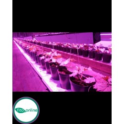 Союз 2 Led светильник для теплиц