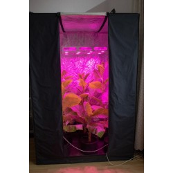 Готовый гроубокс Джин140*100*200 с лампой Гагарин-4 с растениями