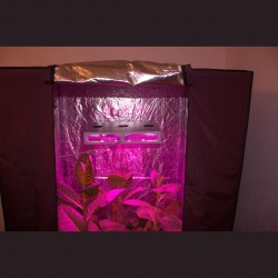 домашний гроубокс